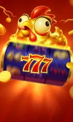 Chicken Coin